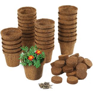 Wonder Soil Classroom Gardening Kit - 30 pots, wonder soil wafers with marigold seeds